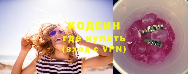 2c-b Новозыбков