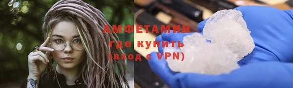 прущие грибы Новодвинск