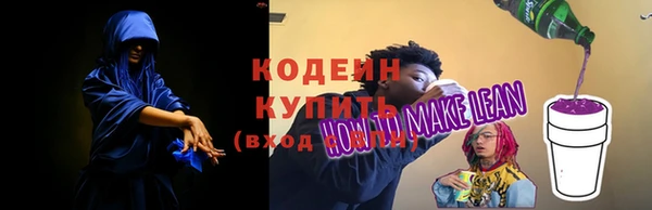 прущие грибы Новодвинск