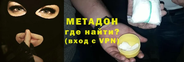 прущие грибы Новодвинск