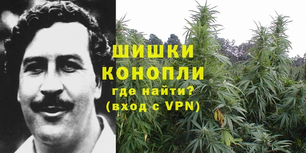 сатива Конаково