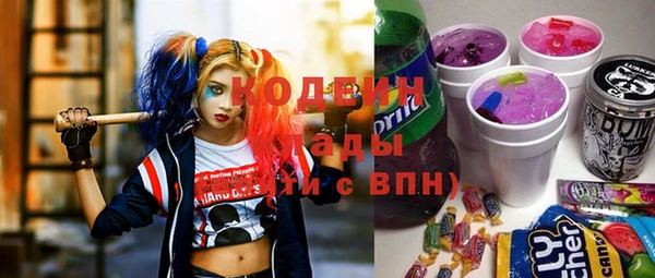 прущие грибы Новодвинск