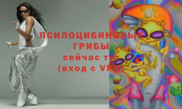 2c-b Новозыбков