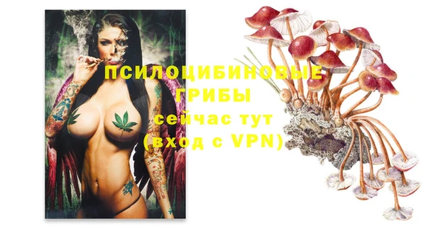 ГАЛЛЮЦИНОГЕННЫЕ ГРИБЫ Нязепетровск