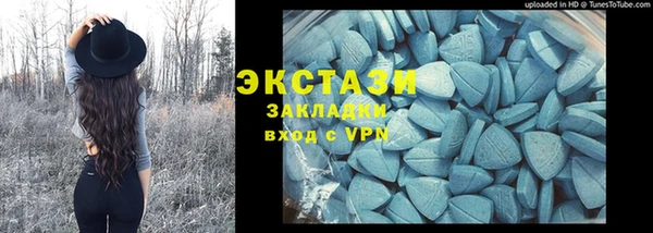 прущие грибы Новодвинск
