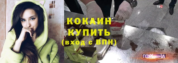 прущие грибы Новодвинск